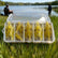 15/30-PCS Soft Plastic Fishing Lures, Grass Shrimp Shape Fishing Equipment - Realistic Swim Micro Bait for Freshwater/Saltwater, Easy Hookups Fishing Accessories, Bass Lure