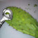 3-Piece Stainless Steel Cactus Peeler Tool Set, Multi-Purpose Nopales Peeler, Noodle Cutter & Scoop, Ergonomic Easy-Grip Handles, Dishwasher Safe Kitchen Must-Have