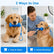 Dual-Action Canine Dental Prop,Dog Dental Chew Toy for Teeth Brushing Dogs Teeth Cleaning Mouth Prop, Reusable Bite and Brush Dental Toy for Dogs,Pet Oral Care for Small, Medium and Large Dog