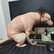 Realistic Squatting Dog Plush Pillow, Funny Lifelike Dog Stuffed Decor, Novelty 3D Print Puppy Throw Pillow, Weird Gag Gift for Home Office Desk Decoration