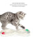 Cat Toys, Cat Tray Toys Kitten Turntable Figure 8 Shaped Cat Turntable Track Ball Toy, Interesting Turntable Kitten Ball Track Toy for Pet Cat Interactive Entertainment