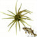 10-Pack Soft Plastic Sea Urchin Lures – Durable, Floating, Realistic Baits for Freshwater Bass and Trout Fishing