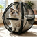 Portable Outdoor Cat Enclosure 27" Mesh Ball Cat Cage