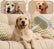 4-in-1 Pet Grooming Brush with Water Spray for Dogs & Cats, Silicone