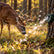 Bow Hunting Milkweed Dispenser - Wind Indicator Fluff For Saddle Hunters