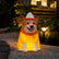 Lighted Candy Corn Corgi Dog Halloween Blow Mold Statue Decor