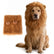 Dog Lion Mane Costume with Ears Realistic Wig Pet Costumes