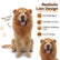 Dog Lion Mane Costume with Ears Realistic Wig Pet Costumes