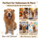 Dog Lion Mane Costume with Ears Realistic Wig Pet Costumes