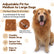 Dog Lion Mane Costume with Ears Realistic Wig Pet Costumes