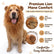 Dog Lion Mane Costume with Ears Realistic Wig Pet Costumes