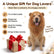 Dog Lion Mane Costume with Ears Realistic Wig Pet Costumes