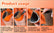 Precision Pipe Saddle Template Cutting Guide Kit