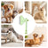 Self-Cleaning Dog Comb for Grooming Cats and Dogs - Easy Grip Brush Effortless grooming with a self-cleaning feature for pets.(One green one orange)