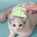Self-Cleaning Dog Comb for Grooming Cats and Dogs - Easy Grip Brush Effortless grooming with a self-cleaning feature for pets.(One green one orange)