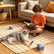 Motorized Cat Toy - USB Rechargeable 3 Speeds Automatic Low Noise