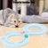 Cat Toys, Cat Tray Toys Kitten Turntable Figure 8 Shaped Cat Turntable Track Ball Toy, Interesting Turntable Kitten Ball Track Toy for Pet Cat Interactive Entertainment