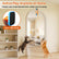 ALL FOR PAWS Interactive Cat Toy for Indoor Cats, Automatic Door Hanging Toy with Moving Feather, USB Rechargeable Cat Toys for Bored Adult Cats & Kittens