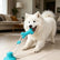 Indoor Dog Tug Toy with Suction Cup Base, Textured Bone Chew Head and Rope Pull Design for Daily Dog Play Time Pet Rope Tug Plaything Floor Chew Accessory Canine Pull Toy Home Play Pet Mouth Bone