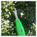 Portable Flower Branch Trimmer Scissors