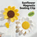 Sunflower-Shaped Magnetic Chip Clips