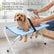 Collapsible Mesh Pet Grooming Hammock Stand, Bathing Station for Small Pets