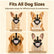 Funny Dog Grin Muzzle with Teeth for Halloween，m Adjustable Lightweight Rubber Pet Costume Mask for Halloween